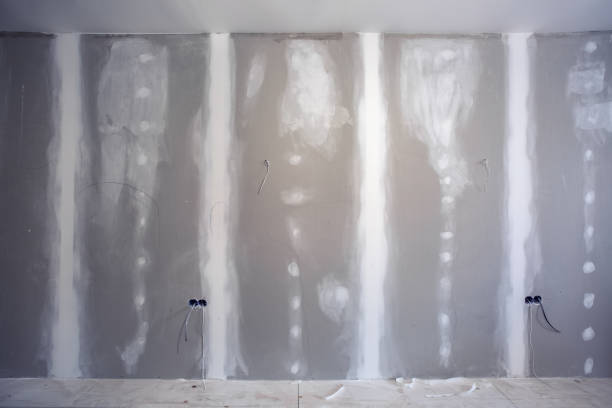 Best Basement Mold Removal  in Lake Shore, MD
